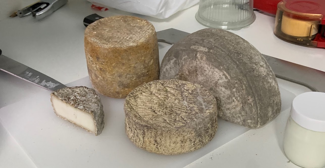 Savory goat cheese (Queso de cabra) in Exremadura